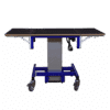 Ergonomic Lift Table 1erg-o-lift single 300 for HJ