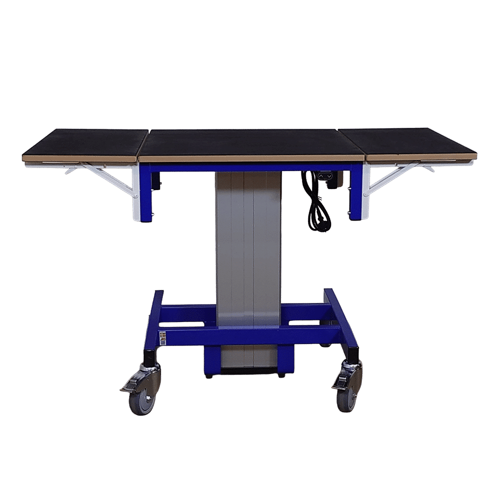 Ergonomic Lift Table 1erg-o-lift single 300 for HJ